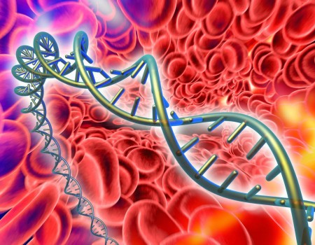 Laborator analize medicale