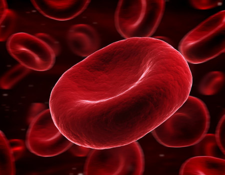 ProLife – Consultatii si tratamente